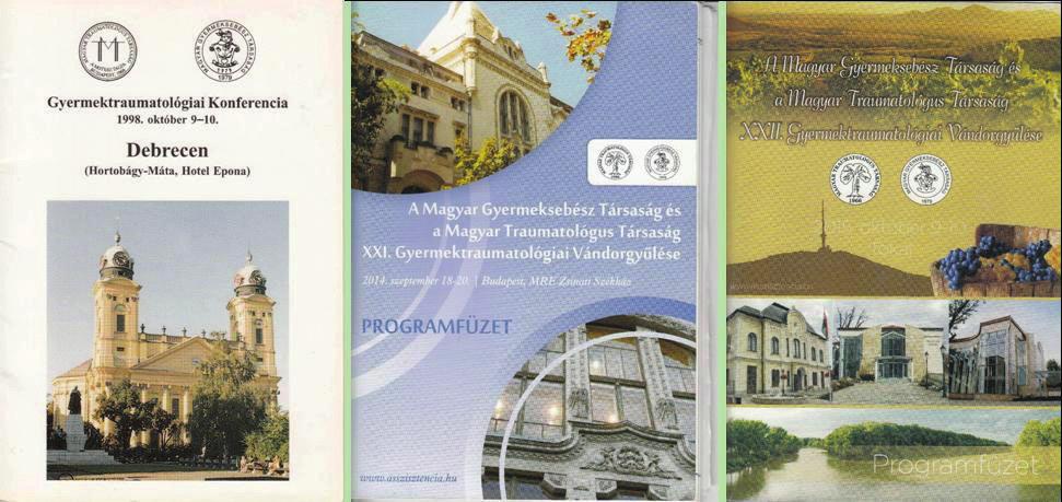 A Gyermektraumatológiai Szekció és a Vándorgyűlések 5. ábra A Gyermektraumatológiai Szekció első Vándorgyűlése 1994-ben 6.