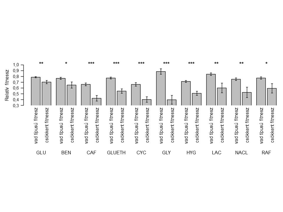 választottuk ki, eredményeinket össze tudtuk vetni Dudley és munkatársai [Dudley et al., 2005] által kapott fitneszértékekkel és szignifikáns egyezést találtunk (22. ábra)