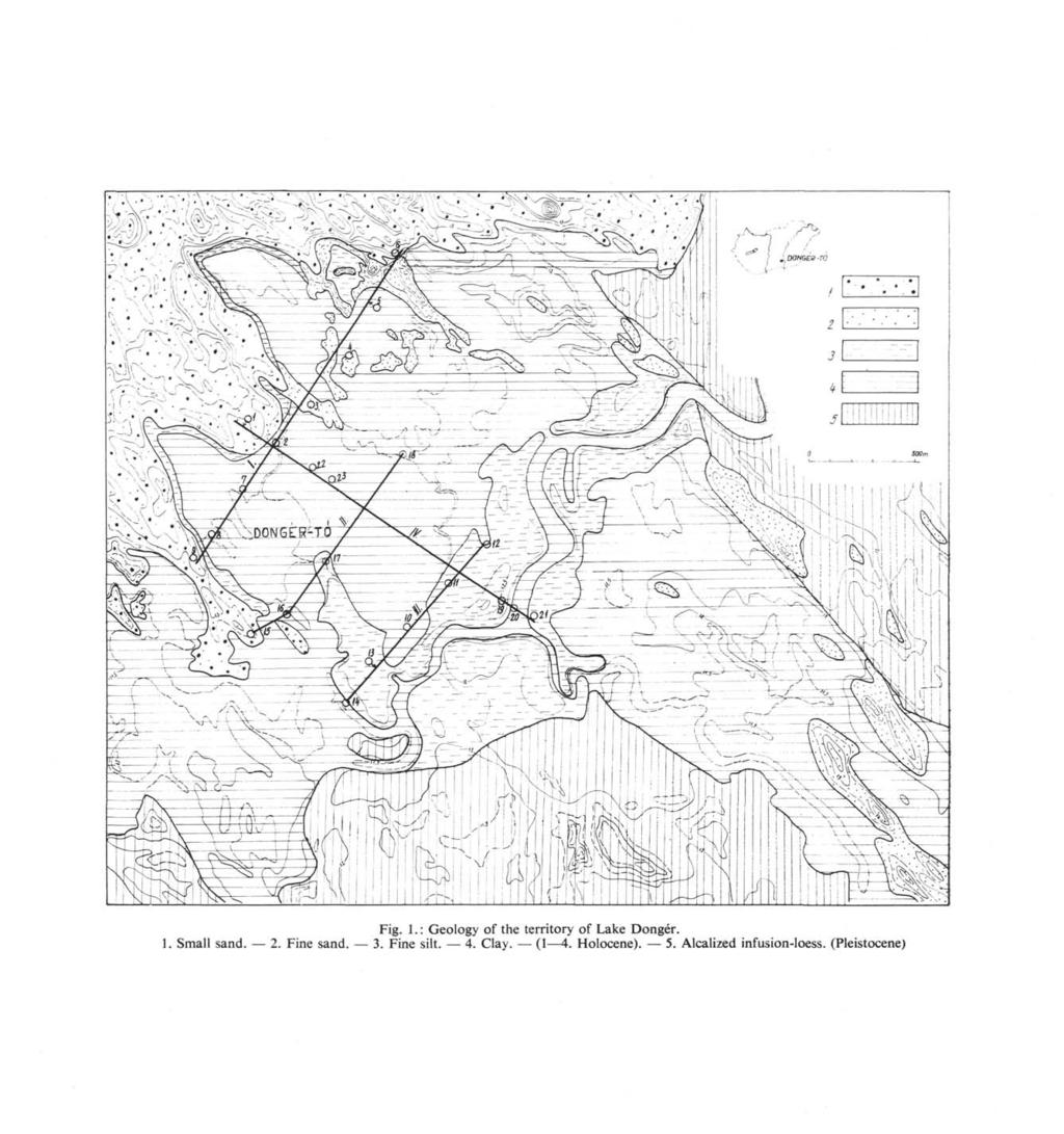 Fig. 1. : Geology of the territory of Lake Dongér. 1. Small sand. 2. Fine sand.