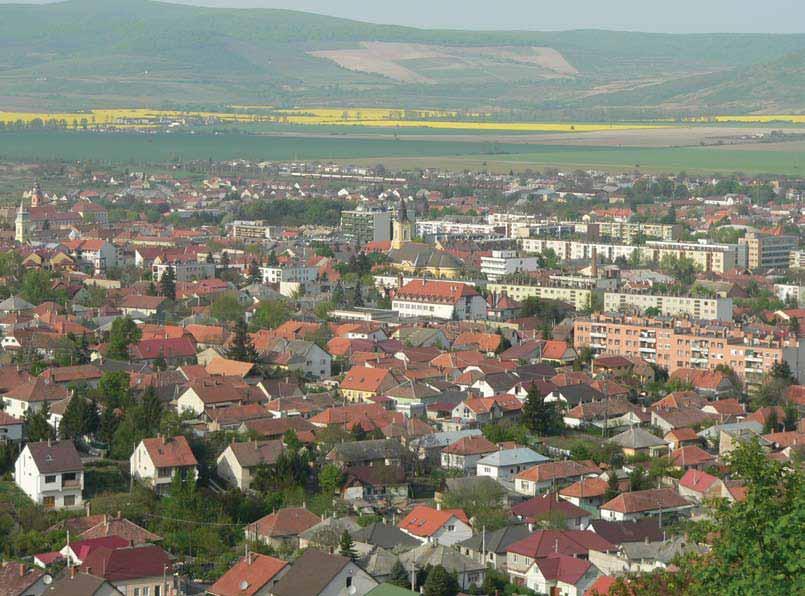 2. ábra. A város látképe a Boglyoskáról 2007 áprilisában Tringli István Fig. 2 View of the town from the Boglyoskáról, April 2007 Tringli István 1.