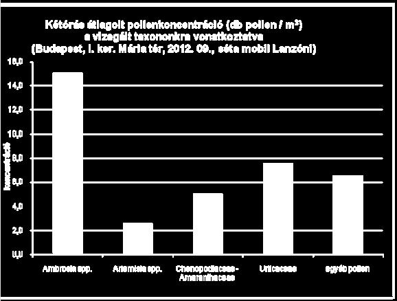 hatású allergén, mely a városi mintákban