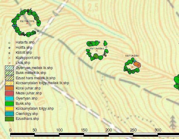 újulat foltjai Faállomány térképezés: törzstérkép és