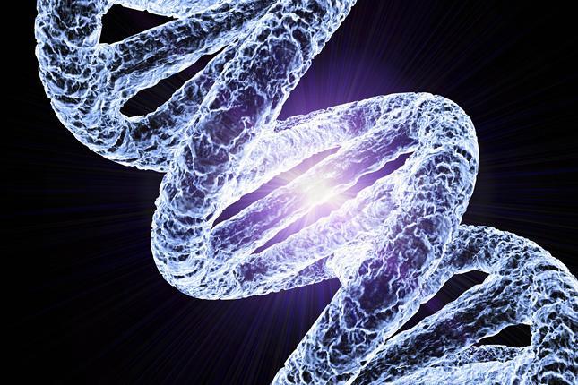 A genetikai állomány A kromatinállomány: A sejtmag legfontosabb alkotórésze.