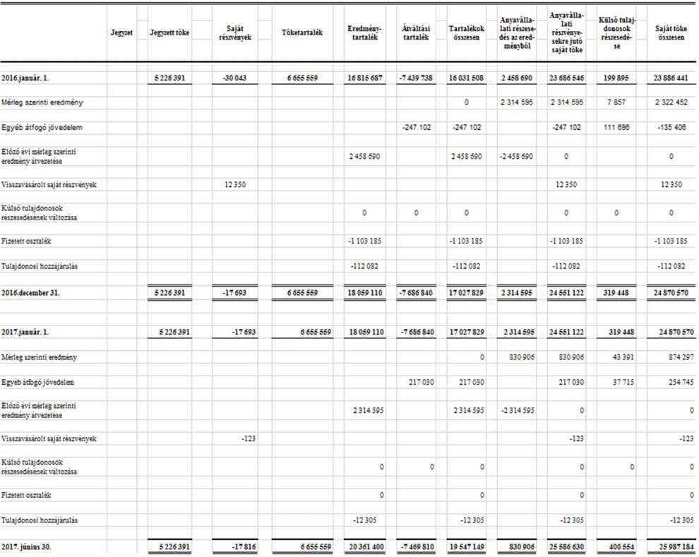 8. Saját tőke elemeinek változása (euróban): Forrás: a Társaság IFRS szerinti, konszolidált, 2017. június 30-i és 2016. június 30-i nem auditált beszámolói 9.