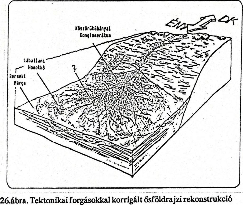 (sztereografikus projekció alsó félgömbjén). Fig.25.