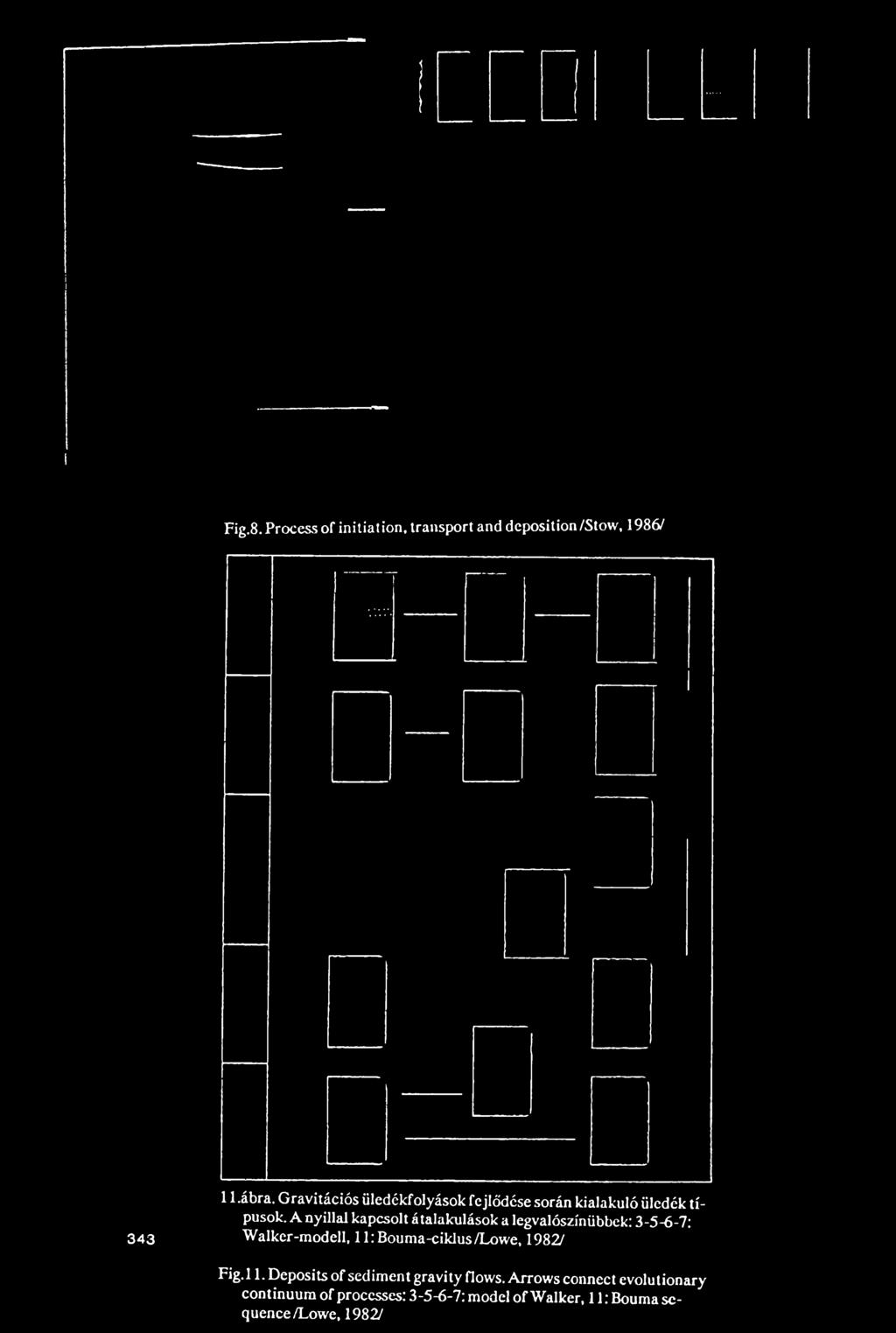 A nyíllal kapcsolt átalakulások a legvalószínűbbek: 3-5-6-7: Walkcr-modell, 11: Bouma-ciklus/Lowe,