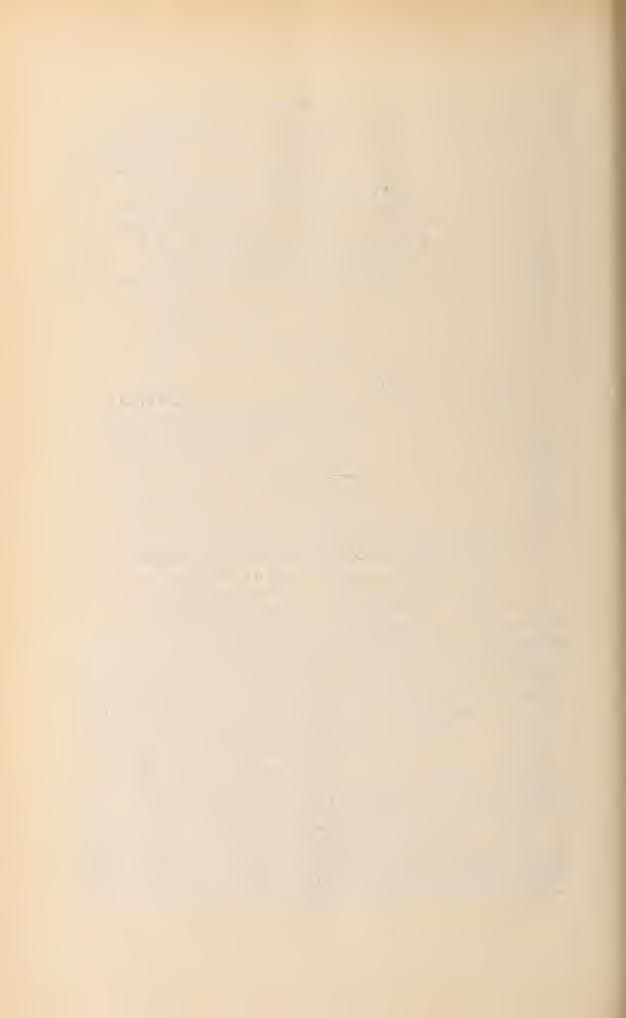 absondern. Biodiversity Heritage Library, http://www.biodiversitylibrary.org/; www.zobodat.at 196 31. Phlomis fmticosa L. Plantaginées 3. Plantago cretica L. 33. Psyllium L. Orchidées 34.