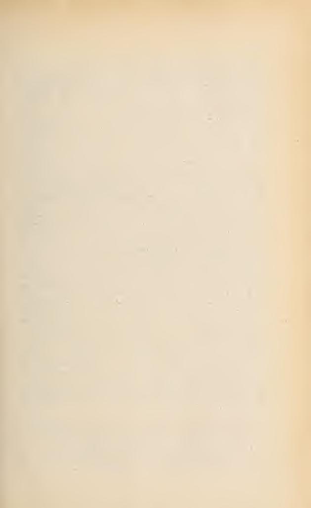 197 végzd mirigye van, mintegy a mellé 1, levél jelzéséül, (v. ö itt a D. glandulosa-yól mondottat is.