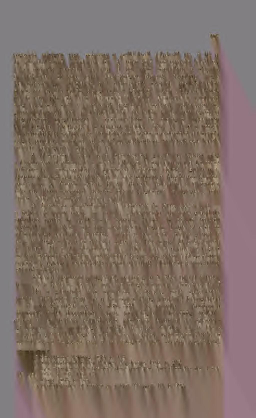 Nehézséget támaszt azonban, hogy keresztesvirágú füveknek, mai alaptervök szerint, melléklevelök nincs, de valaha valósziniileg volt, a közelrl rokon ibolyaféléknek ma is van.