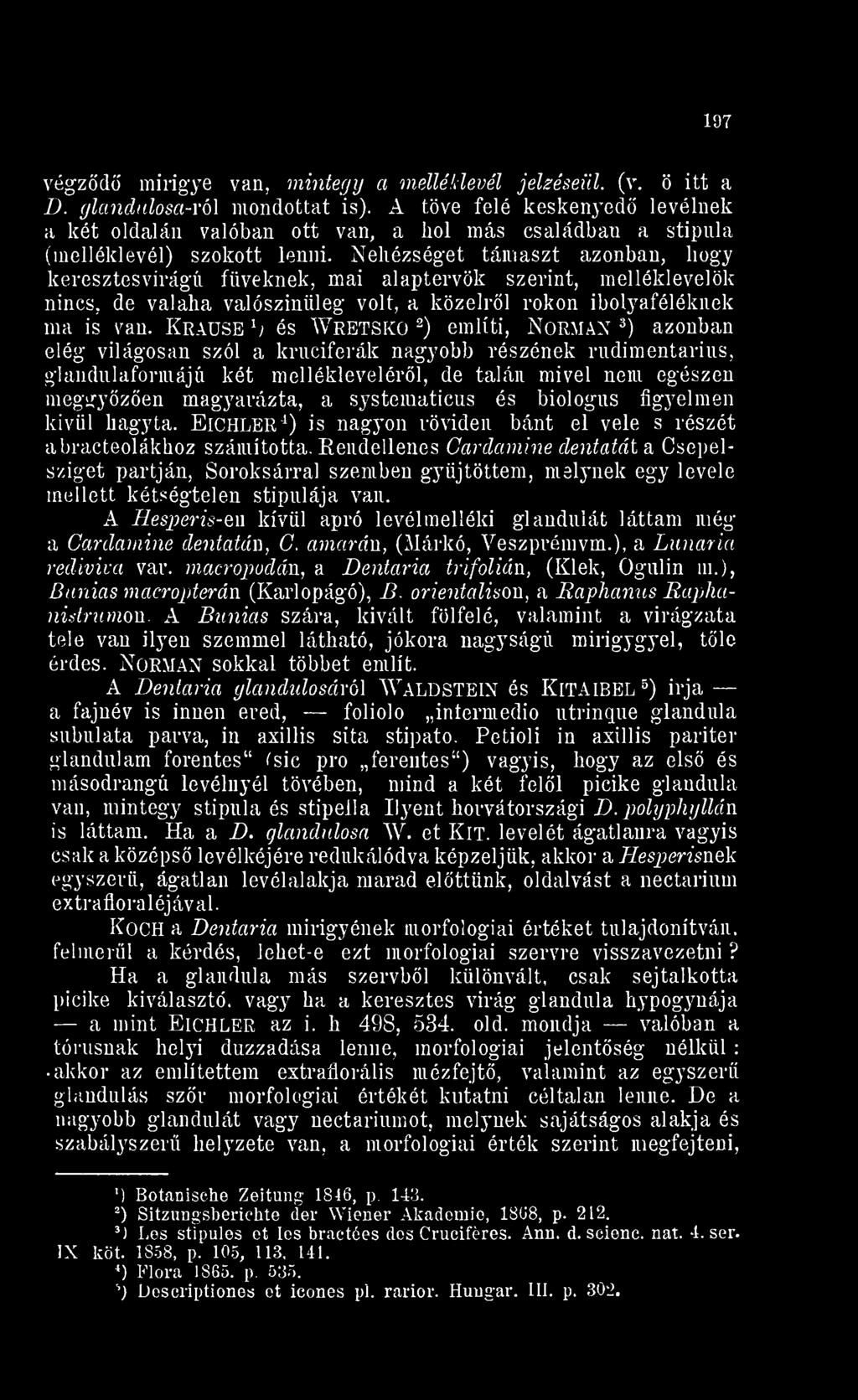 systematicus és biológus figyelmen kívül hagyta. ElCHLER 4 is nagyon röviden bánt el vele s részét abracteolákhoz számította.