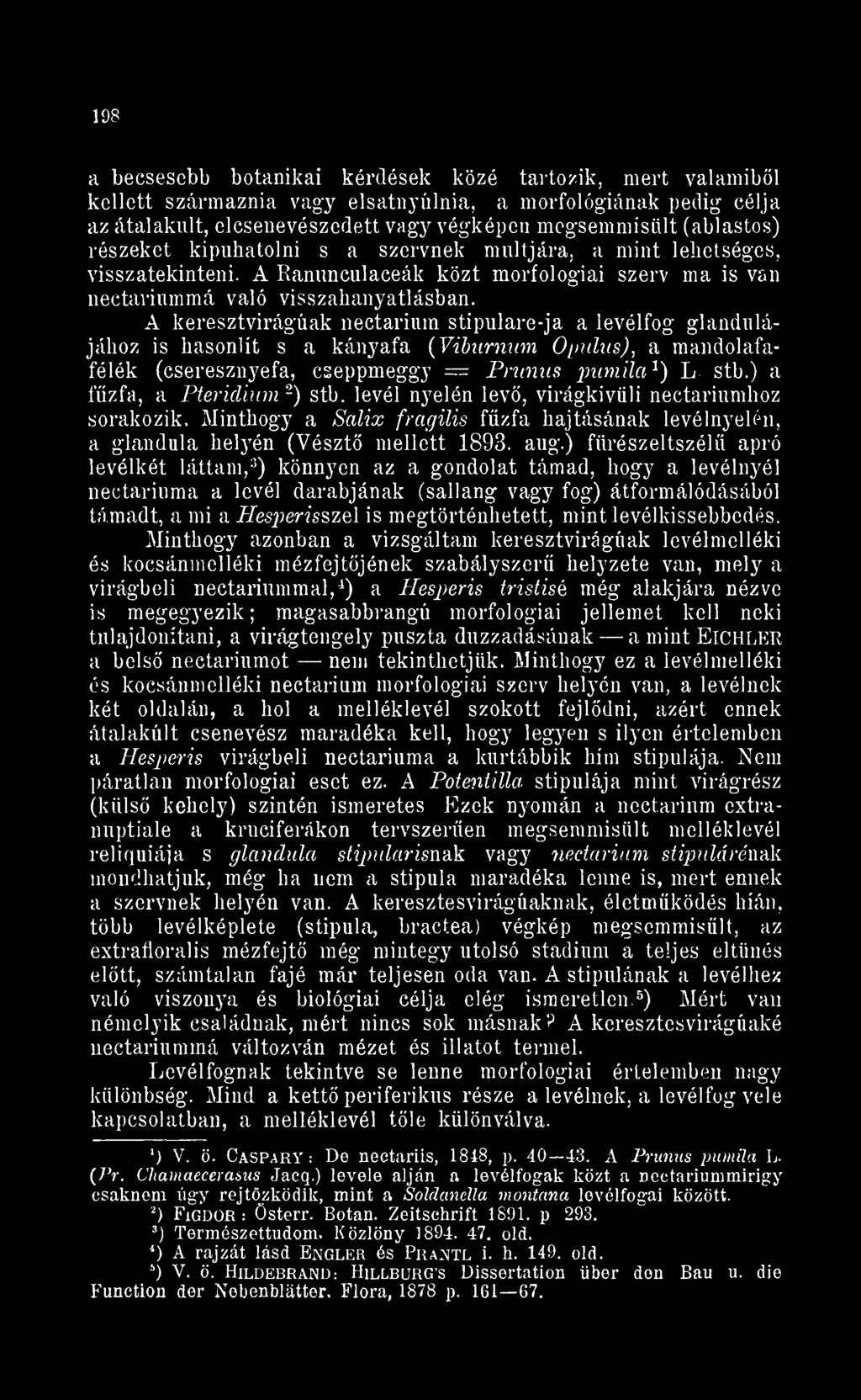 A keresztvirágúak nectarium stipulare-ja a levélfog glandulájához is hasonlít s a kányafa ( Yiburnum Opulus, a mandolafafélék (cseresznyefa, cseppmeggy Prunus pumila L stb. a fzfa, a Pteridium- stb.