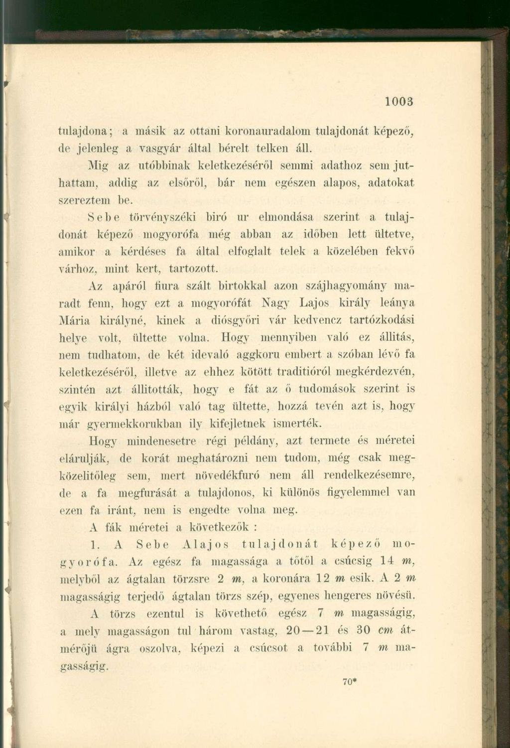 tulajdona; a másik az ottani koronauradaloin tulajdonát képező, de jelenleg a vasgyár által bérelt telken áll.