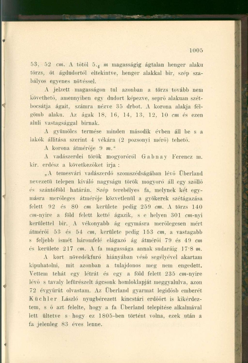 53, 52 cm. A tőtől 5. 4 m magasságig ágtalan henger alakú törzs, öt ágdudortól eltekintve, henger alakkal bir, szép szabályos egyenes növéssel.