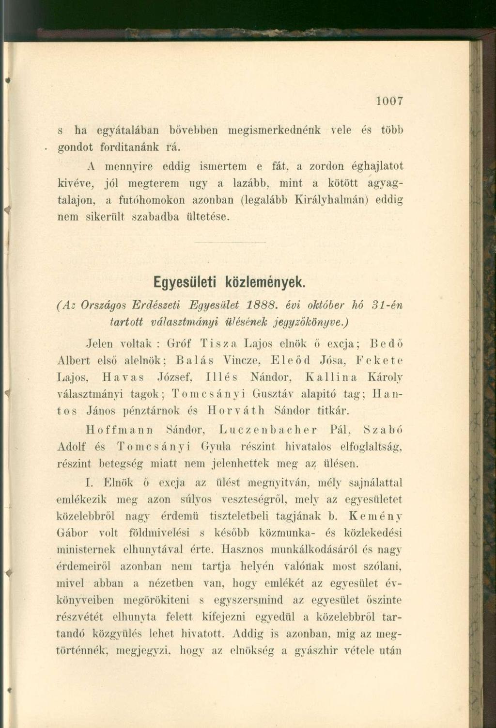 s ha egyátalában bővebben megismerkednénk vele és több gondot fordítanánk rá. A mennyire eddig ismertem e fát.