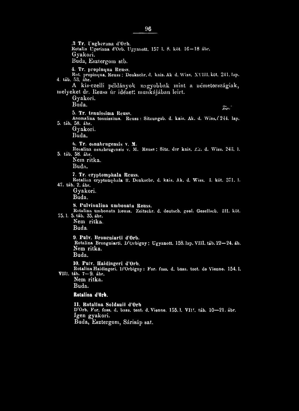 Anomalina tonuissima. Reuss: Sitzungsb. d. kais. Ak. d. Wiss.7244. lap. 5. táb. 58. ábr. Gyakori. Buda. <>. Tr. osnabrugensis v. M. Rosaliua osnabruguiisis v. M. Reuss : Sitz. dér kais. Ak. d. Wiss. 243.