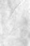 Nodosaria (Dentalina) simplex, H a n t k. 12.