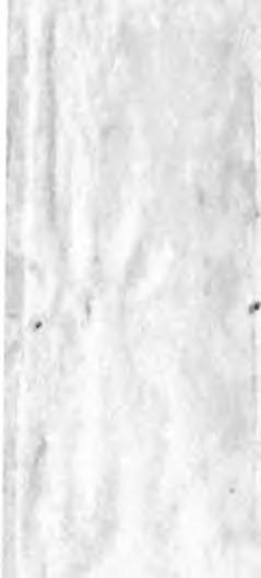 Y> Nodosaria (Dentalina) Reitzi, II a n t k. 14.