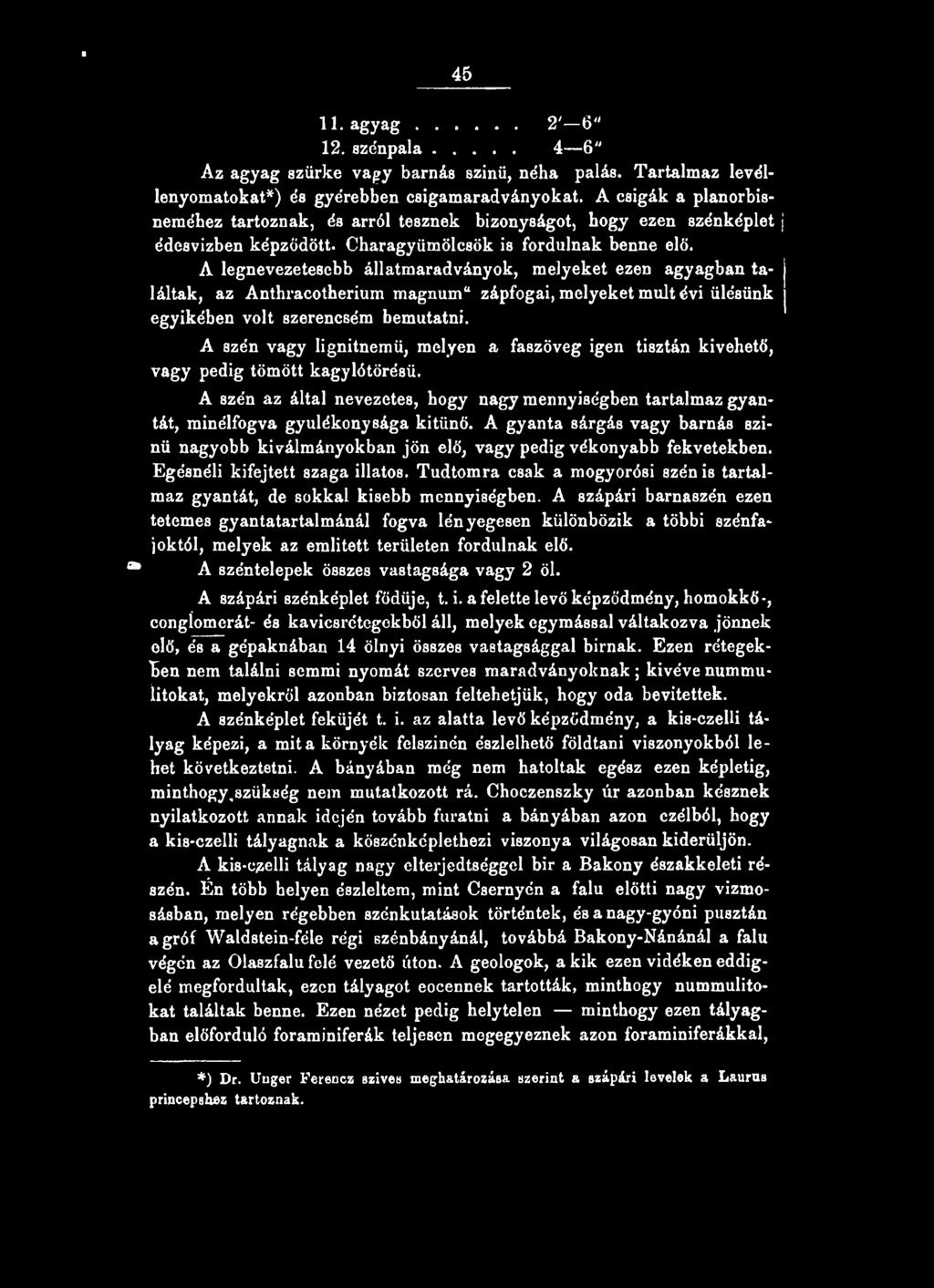 A legnevezetesebb állatmaradványok, melyeket ezen agyagban találtak, az Anthracotherium magnum" zápfogai, melyeket múlt évi ülésünk egyikében volt szerencsém bemutatni.