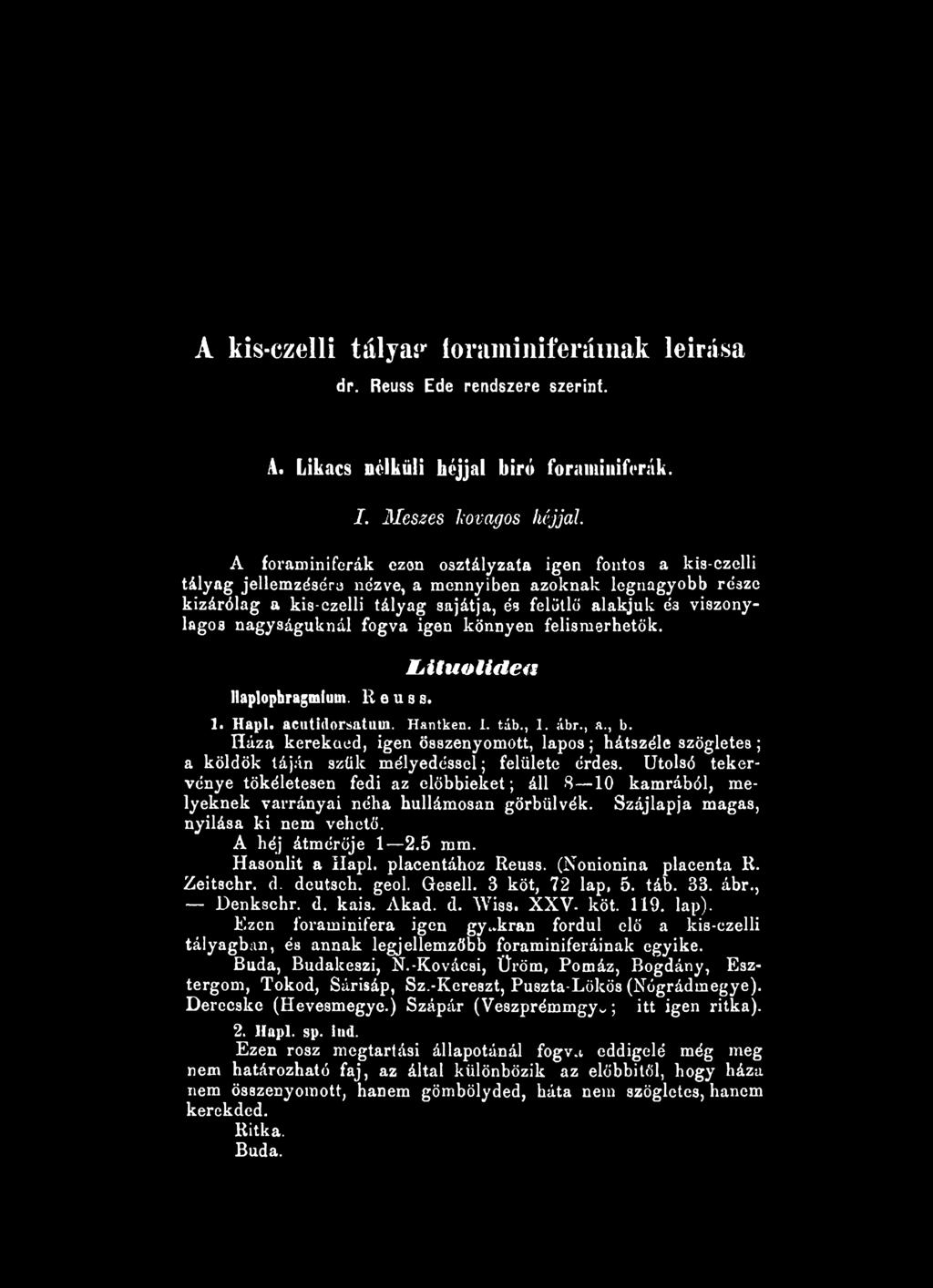 nagyságuknál fogva igen könnyen felismerhetők. M A tu o l ir i e a llaplophragmium. Reuss. 1. Hapl. acutidorsatum. Hantken. I. táb., 1. ábr., a., b.