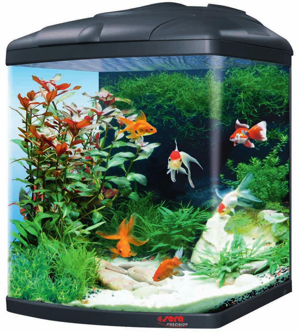 sera Biotop Cube 0 XXL (Nr. ) Az aranyhalas akváriumok különleges vonzerejét a nagy, szép és úszókedvű aranyhalak jelentik.