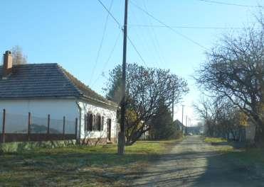 FALUSIAS