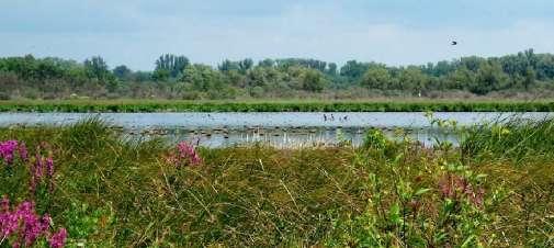 2 Tiszaalpár bemutatása Szikra és az Alpári-rét A Kiskunsági Nemzeti Park legkisebb területegysége a Szikra és az Alpári-rét (1038 ha) az Alsó-Tiszavölgyben található.