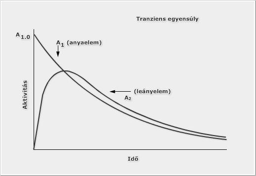 Tranziens egyensúly λ1<λ2 Az anyaelem