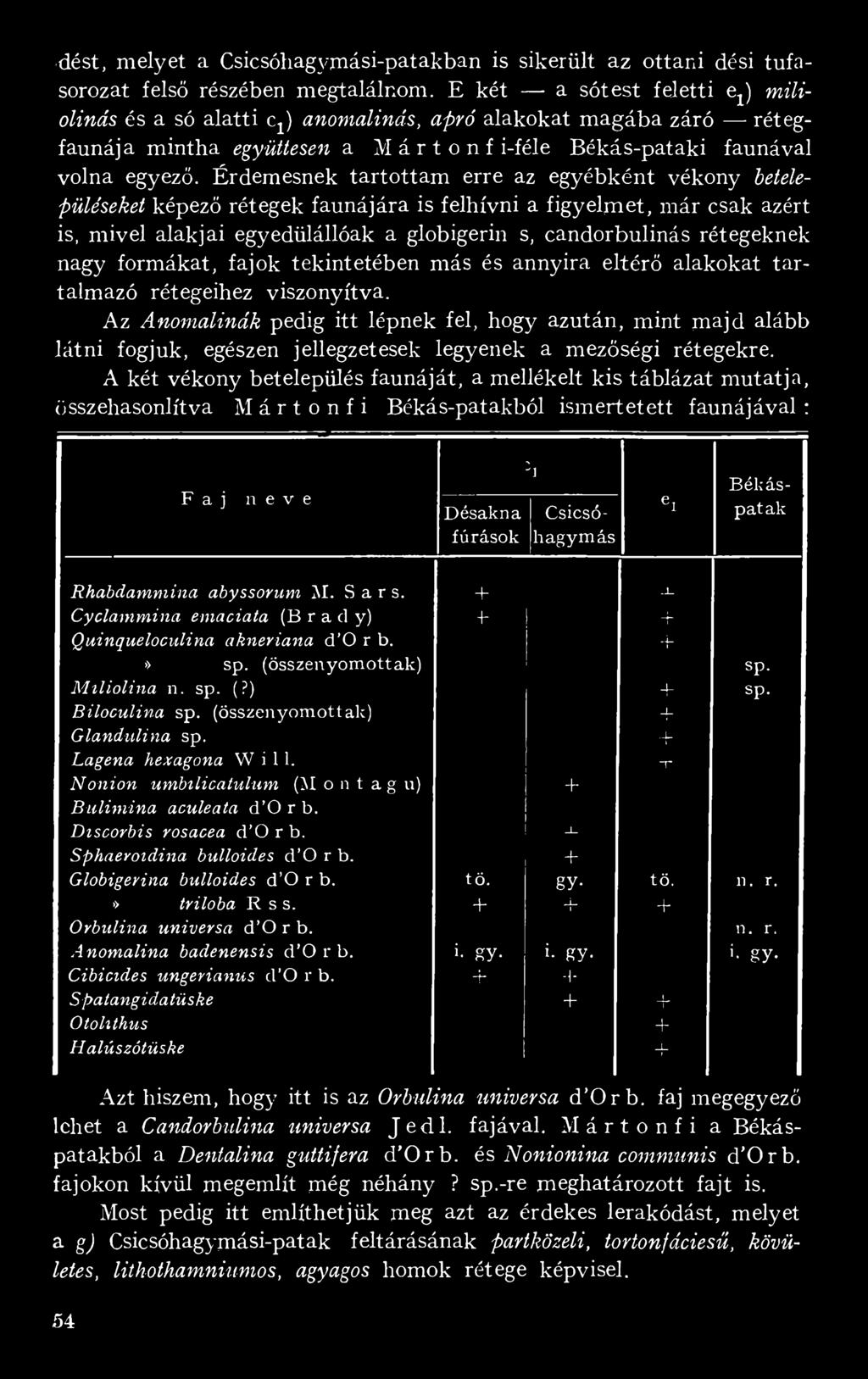 Érdemesnek tartottam erre az egyébként vékony betelepüléseket képező rétegek faunájára is felhívni a figyelmet, már csak azért is, mivel alakjai egyedülállóak a globigerin s, candorbulinás rétegeknek