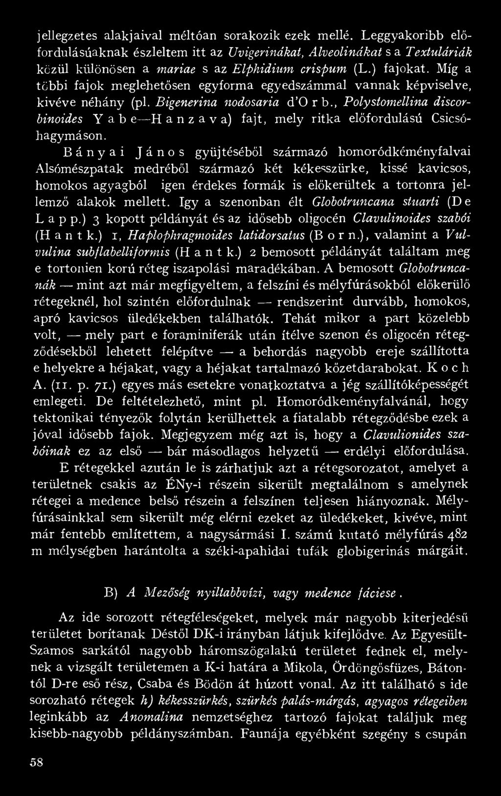 , Polystomellina discorbinoides Yabe H a n z a v a) fajt, mely ritka előfordulású Csicsóhagymáson.