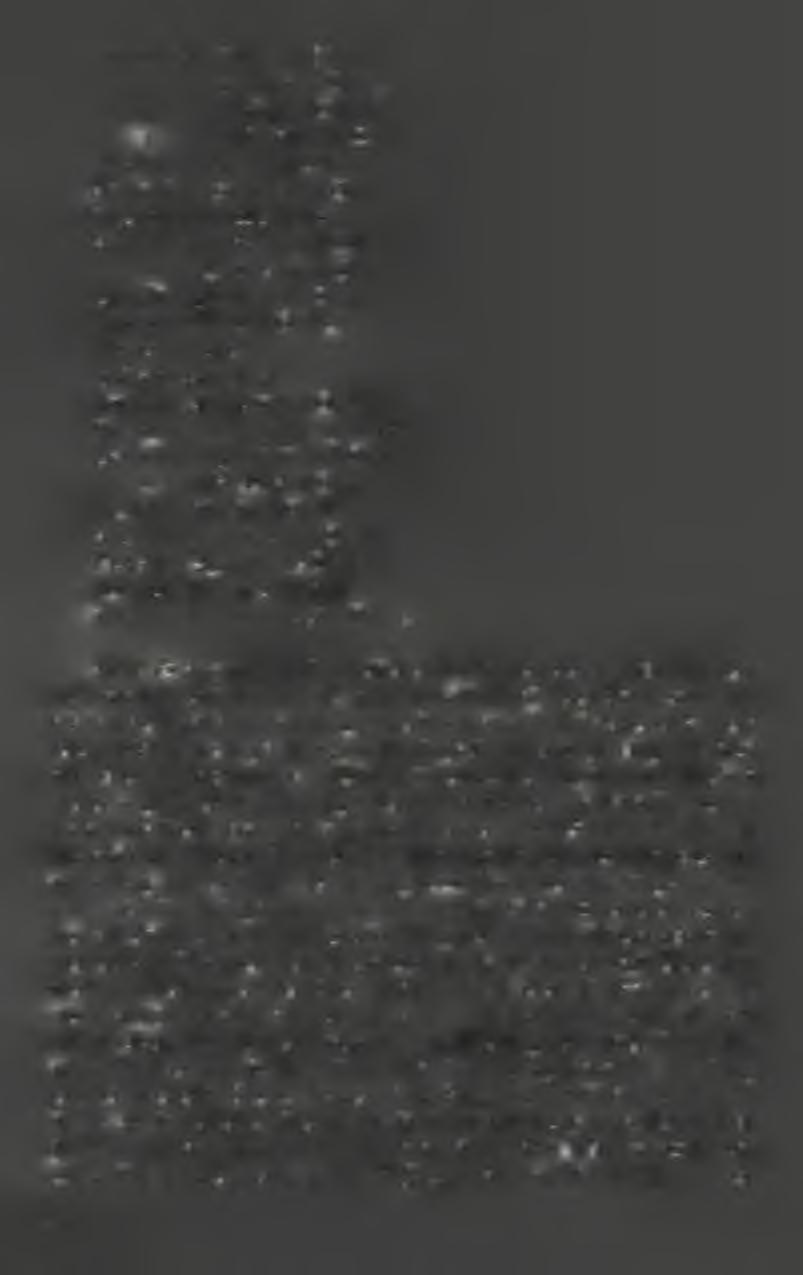 Globigerina bilobata d Orb.» reguláris d Orb.» bulloides d O r b.» quadrilobata d O r b Orbulina universa d O r b. Nonionina communis d O r b. Globigerina triloba R s s. Anomalina austriaca d O r b.