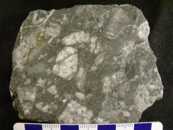 szenvedett minta (Rm-73-59) 5.