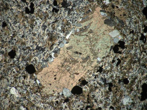 VI. Tábla 500 µm 500 µm 1.