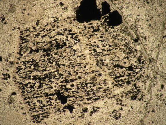 plagioklász, 2N (Prop, Rm-73-64) 500 µm