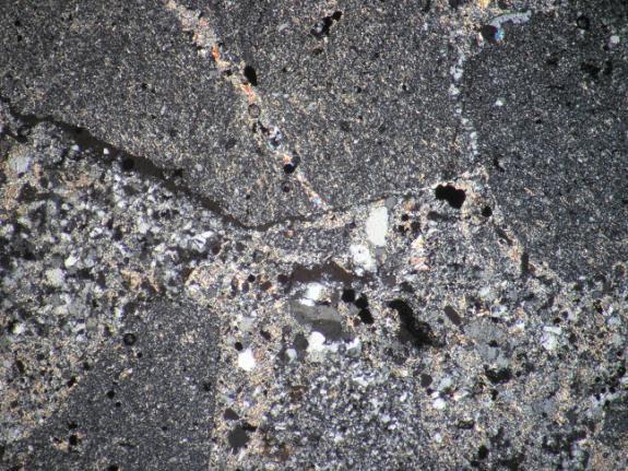 VIII. Tábla 500 µm 500 µm 1.