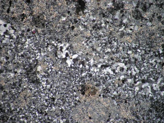 értípus, 2N (KSzE, Rm-70-9) 500 µm 500 µm 3.