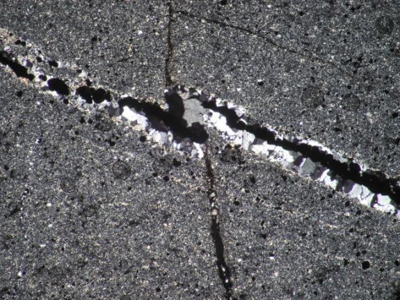 500 µm 500 µm 5.