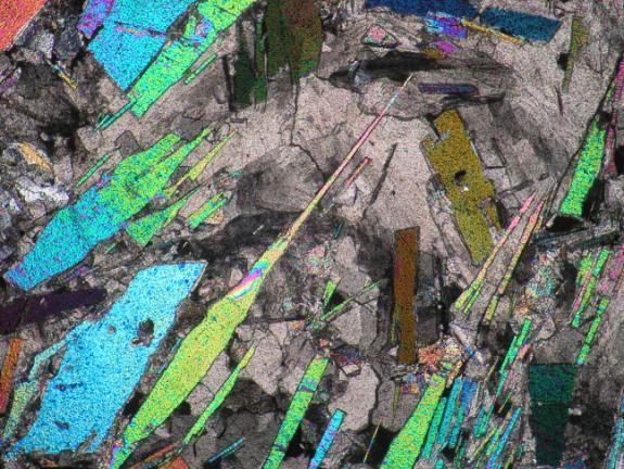 500 µm 500 µm 3.