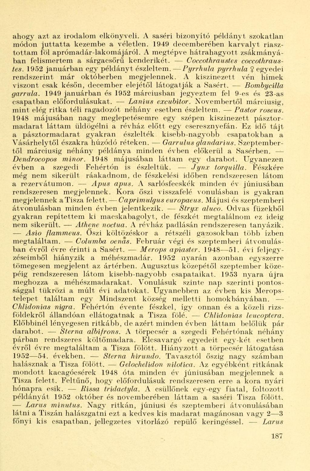 ahogy azt az irodalom elkönyveli. A saséri bizonyító példányt szokatlan módon juttatta kezembe a véletlen. 1949 decemberében karvalyt riasztottam föl aprómadár-lakomájáról.
