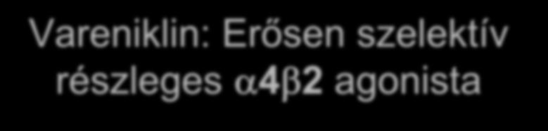 Vareniklin: Erősen szelektív részleges 4 2 agonista Nikotin Vareniklin Binding of nicotine at the 4 2 nicotinic receptor in the Ventral Tegmental Area (VTA) is believed to cause large amounts of