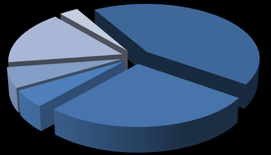 Terápiás foglalkoztatásban résztvevők 3% Kizárólag oktatásban, képzésben vesz részt 16% A foglalkoztatás egyes