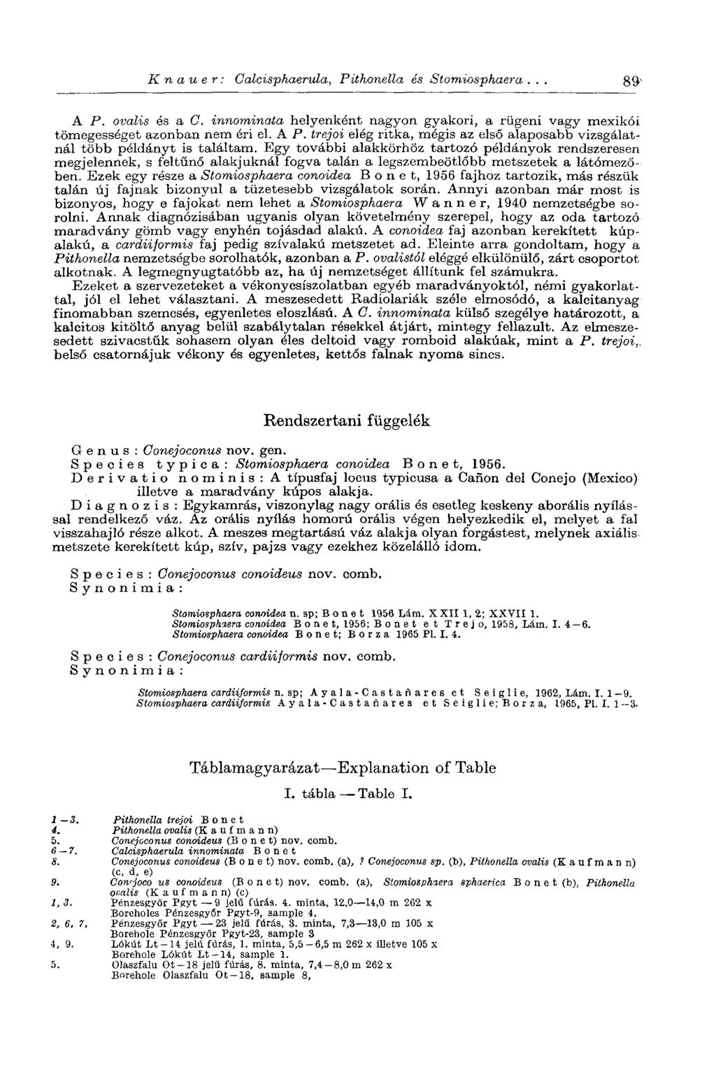 К n а и e r : Galcisphaerula, Pithonella és Stomiosphaera... 8Ç)' A P. ovális és a G. innominata helyenként nagyon gyakori, a rügeni vagy mexikói tömegességet azonban nem éri el. A P. trejoi elég ritka, mégis az első alaposabb vizsgálatnál több példányt is találtam.
