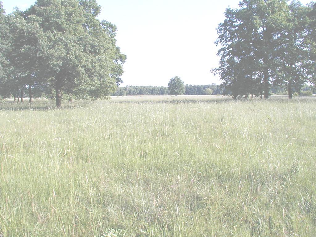 Tájléptékű