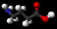 γ- amino- vajsav, 4- aminobutirát γ- amino- butyric acid GABA HOOC- CH 2 - CH 2 - CH(NH 2 )-