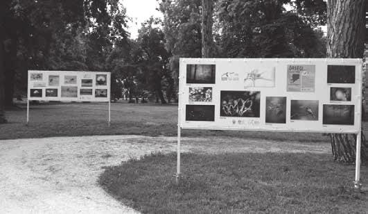 NEMZETKÖZI Varázslatos Magyarország szabadtéri vándor fotókiállítás / Magical Hungary photo exhibition Varázslatos Magyarország szabadtéri vándor fotókiállítás Magical Hungary photo exhibition Ma