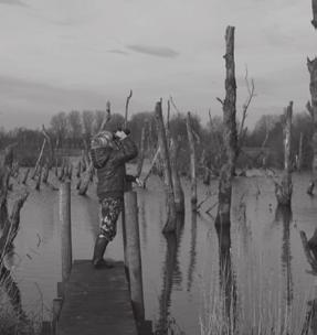 NEMZETKÖZI Kategória: Televíziós produkciók, független filmek Category: Television productions and independent films KM-D Poroszka Magyar Zsolt Méhlegelők Bee Pastures Nevem Poroszka Magyar Zsolt