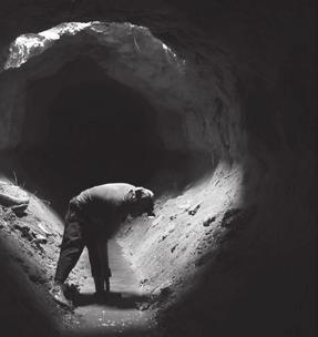 NEMZETKÖZI Kategória: Rövidfilmek, internetes videók, független kisfilmek Category: Short films, videos, independent short films Adrian Arce Metamorfosis Metamorphosis Mester diplomáját az UTS-en