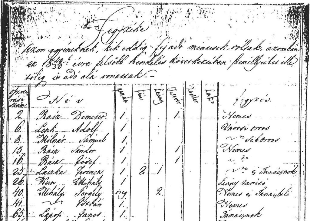 Részlet a karcagi nemesek 1850.