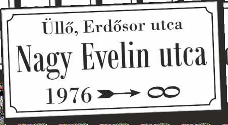 Műanyag Utca tábla 25 x 50