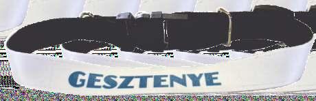 Egy  Kutya