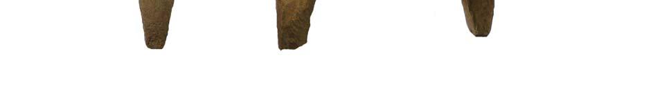 Because of its largish size and morphological characteristics (Steiger 1990, 68-69.) it is possible that this bone belonged to a Bactrian camel.